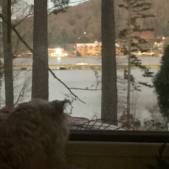 Meet your Posher, Sheila - Picture 2 of 2